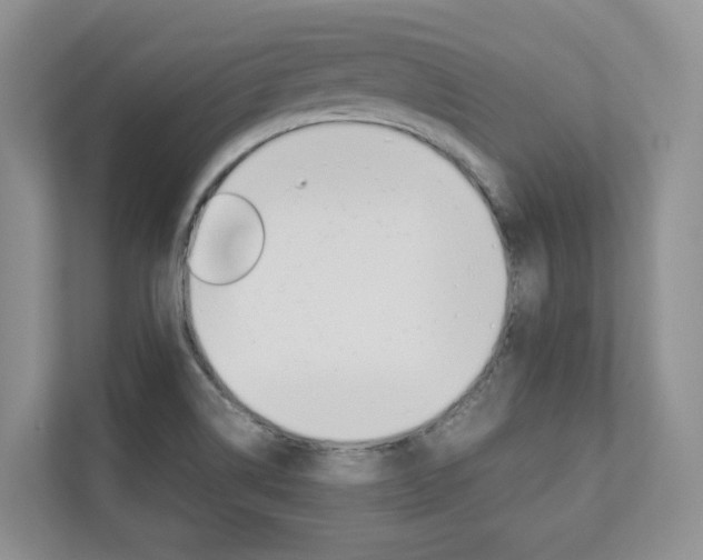 X0000112831514200908210928