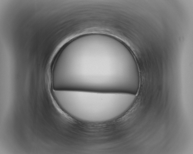 X0000112831515200908210928