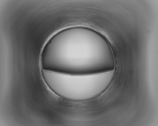 X0000112831516200908210928