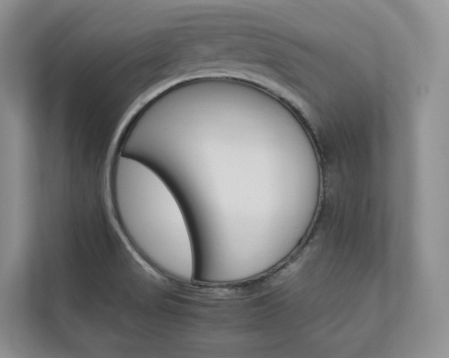 X0000112831517200908210928