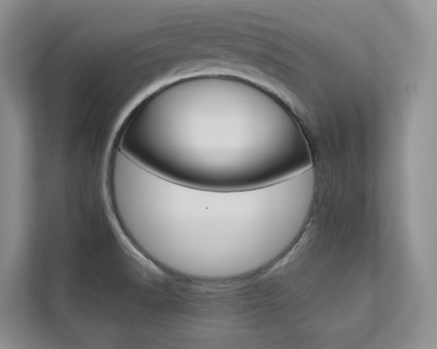 X0000112831518200908210928