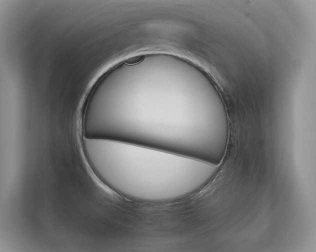 X0000112831519200908210928