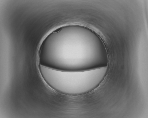 X0000112831520200908210928