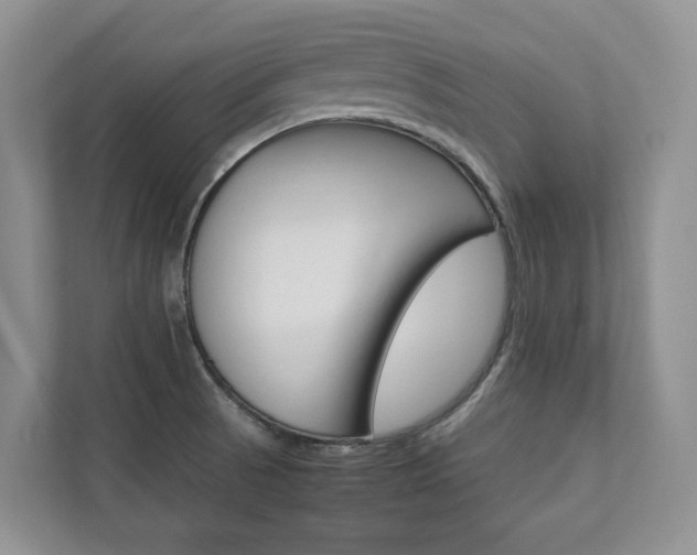 X0000112831521200908210928