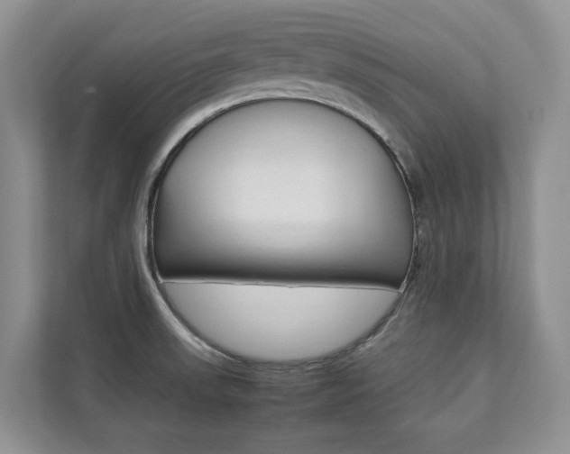 X0000112831523200908210928