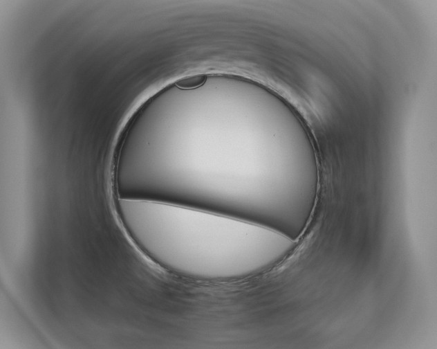 X0000112831525200908210928