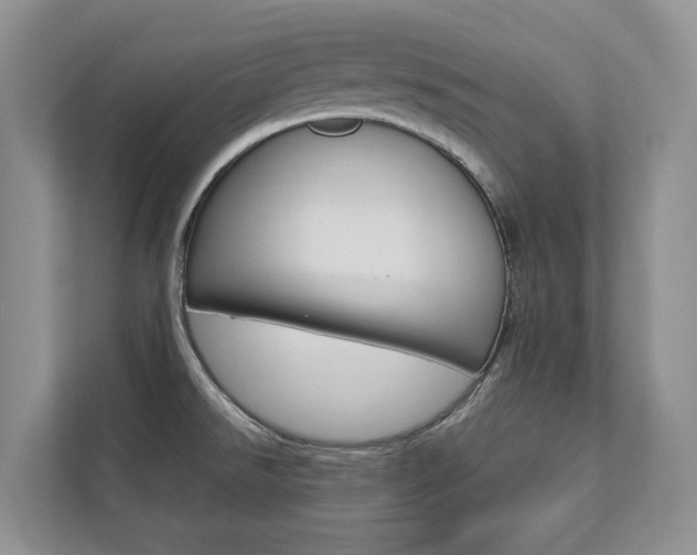 X0000112831526200908210928