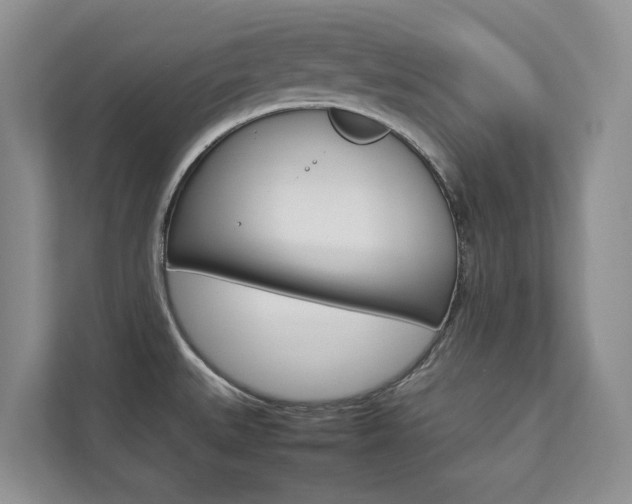 X0000112831527200908210928