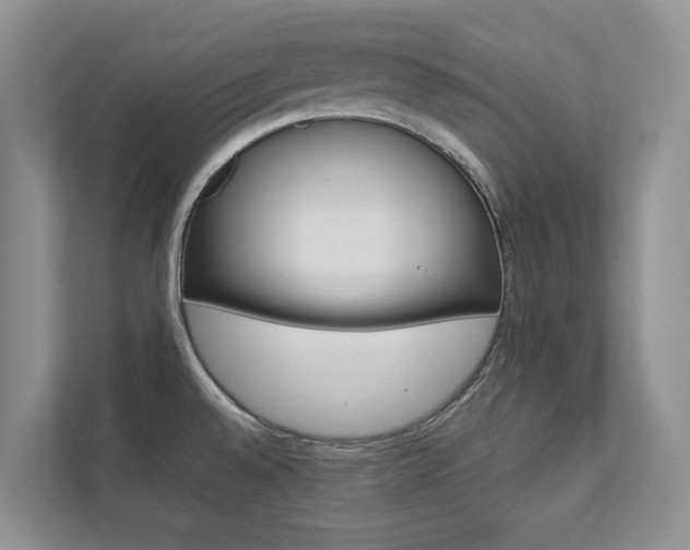 X0000112831528200908210928