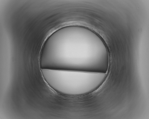 X0000112831529200908210928