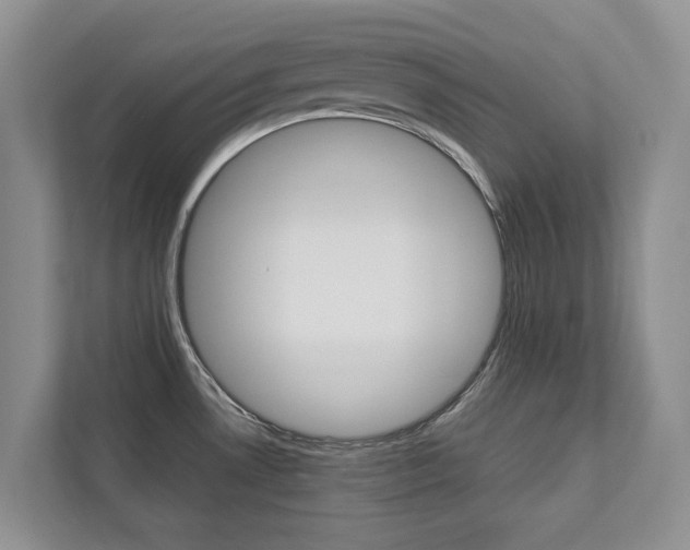 X0000112831530200908210928