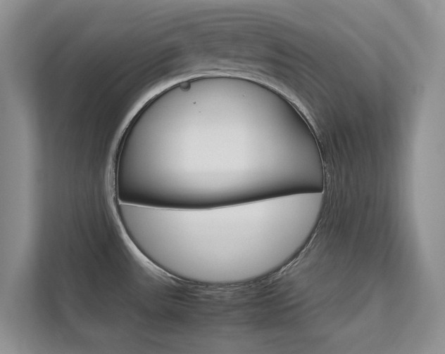 X0000112831531200908210928