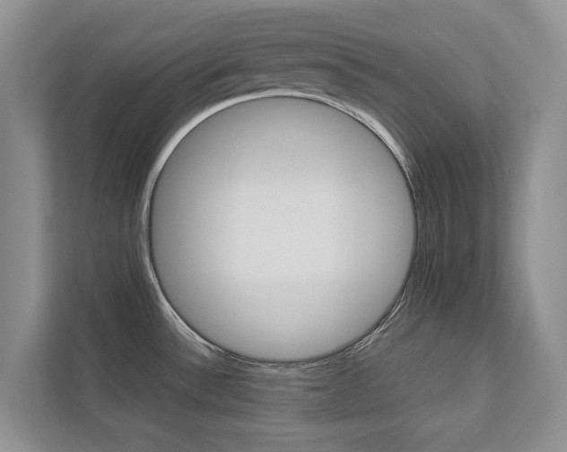 X0000112831532200908210928