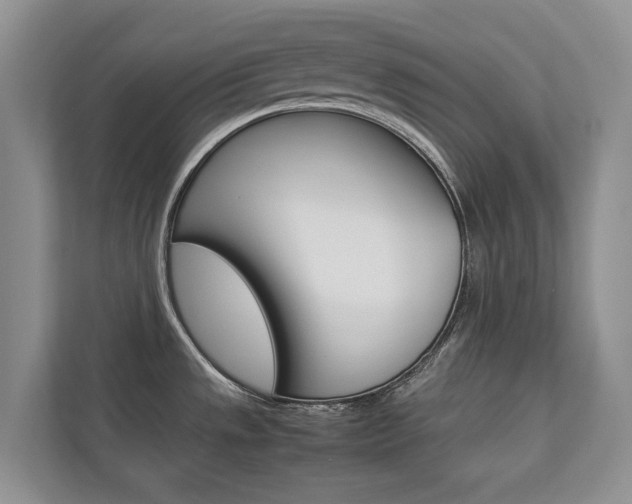X0000112831533200908210928