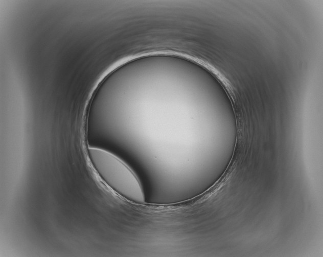 X0000112831534200908210928