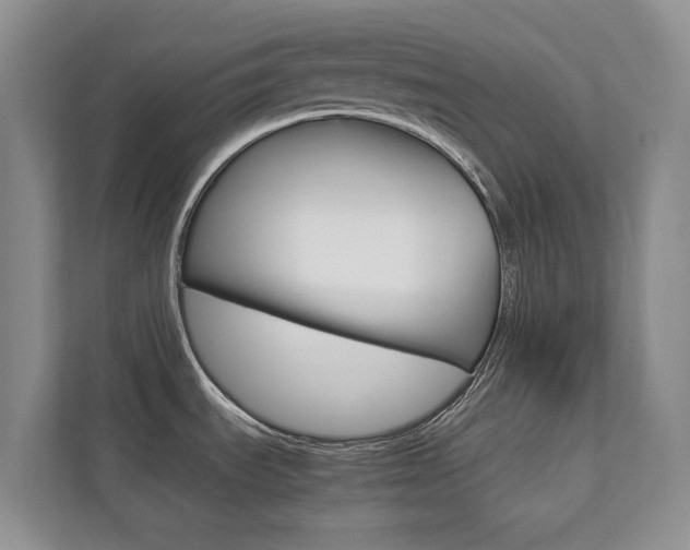 X0000112831535200908210929