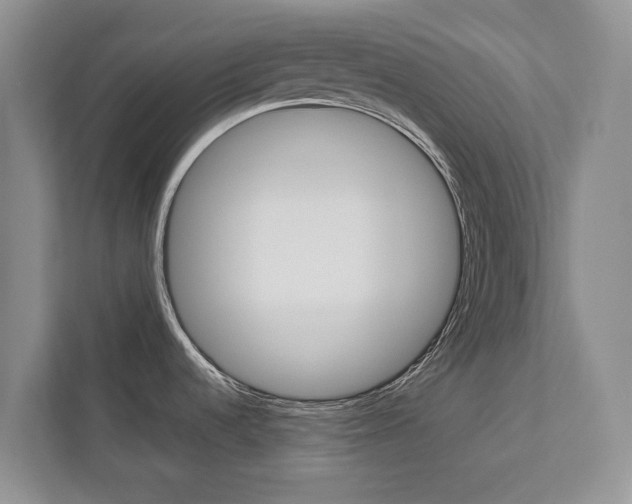 X0000112831536200908210929