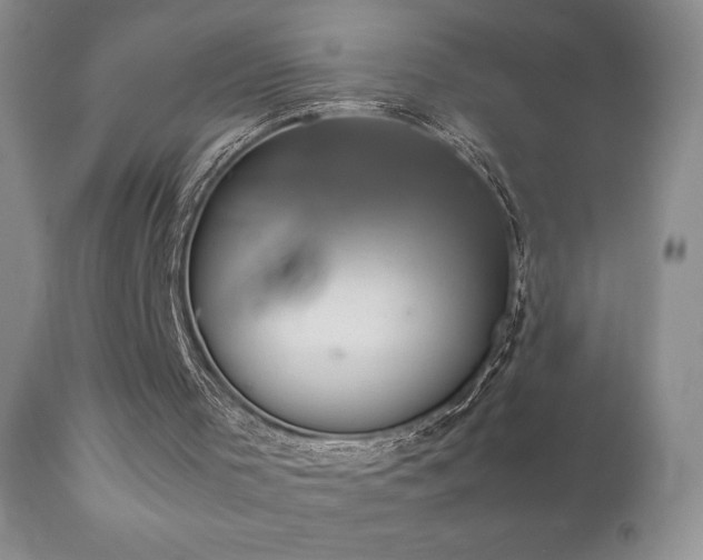 X0000112830001200908211228