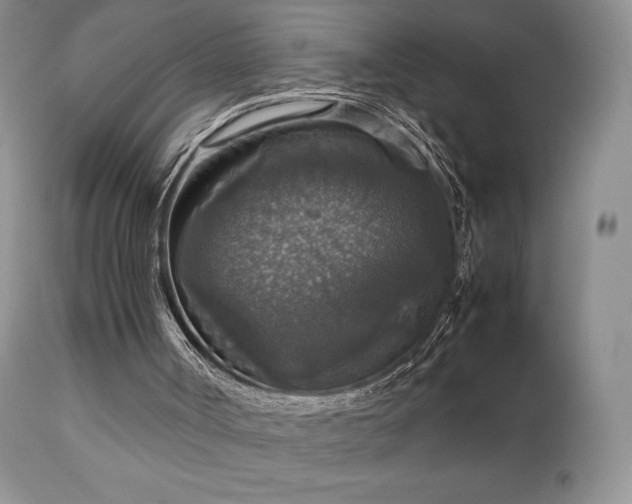 X0000112830002200908211228