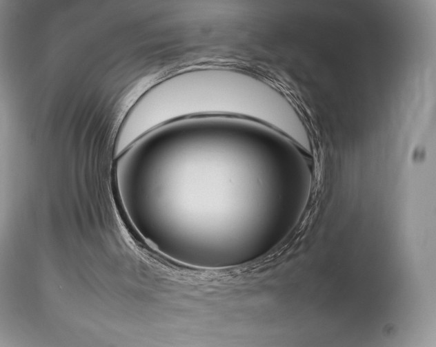 X0000112830003200908211228