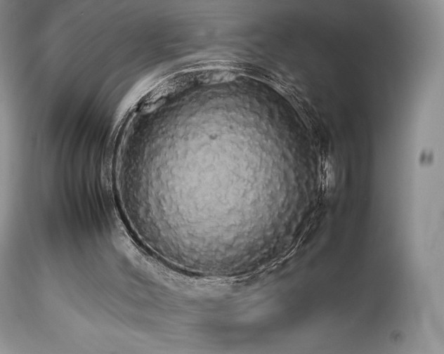 X0000112830004200908211228