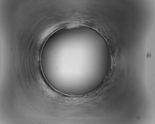 X0000112830005200908211228