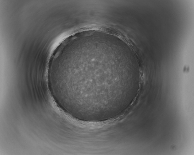 X0000112830006200908211228