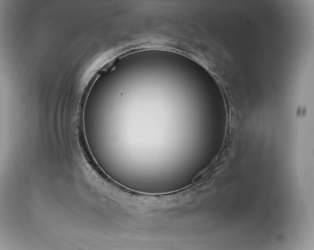 X0000112830007200908211228