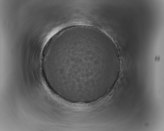 X0000112830008200908211228