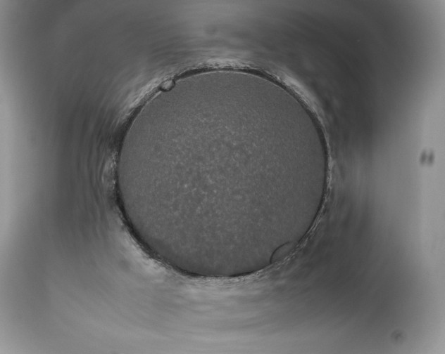 X0000112830009200908211228