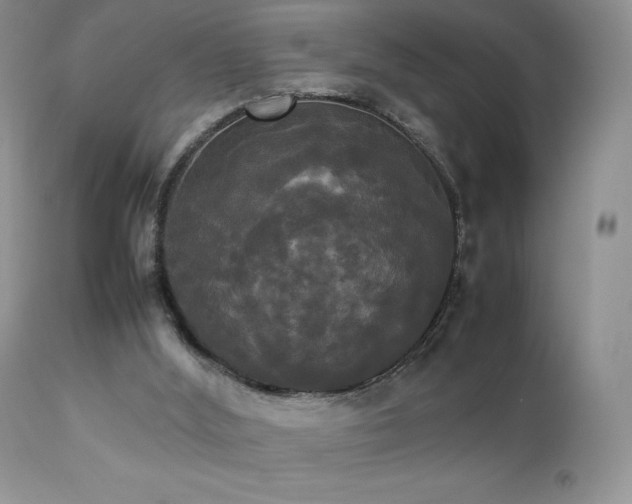 X0000112830012200908211228