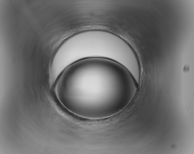 X0000112830013200908211228