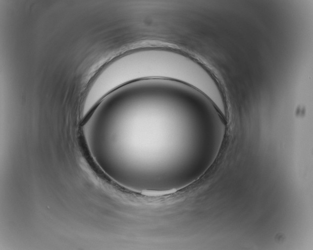 X0000112830015200908211228