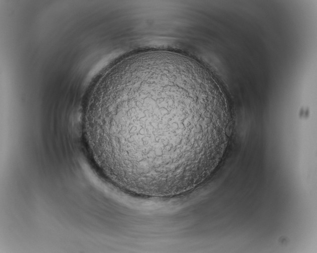 X0000112830016200908211228