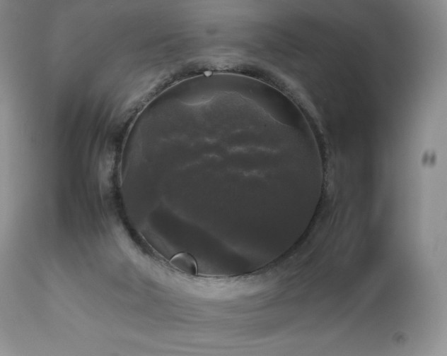 X0000112830018200908211228