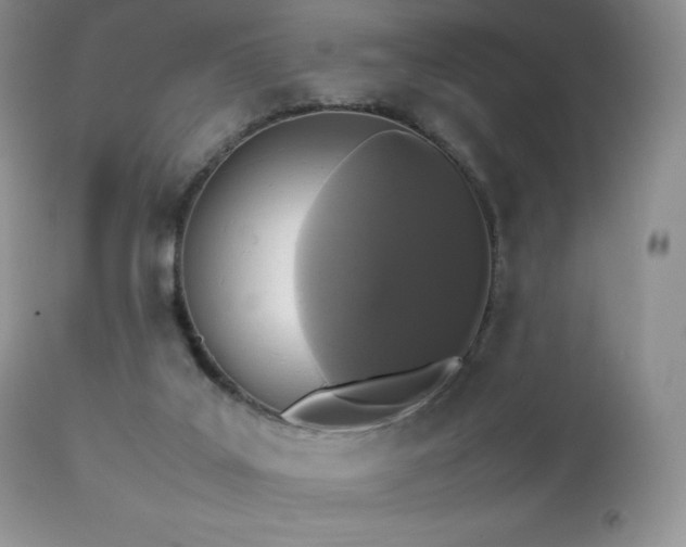 X0000112830019200908211228