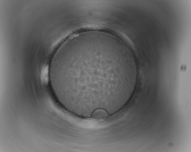 X0000112830020200908211228