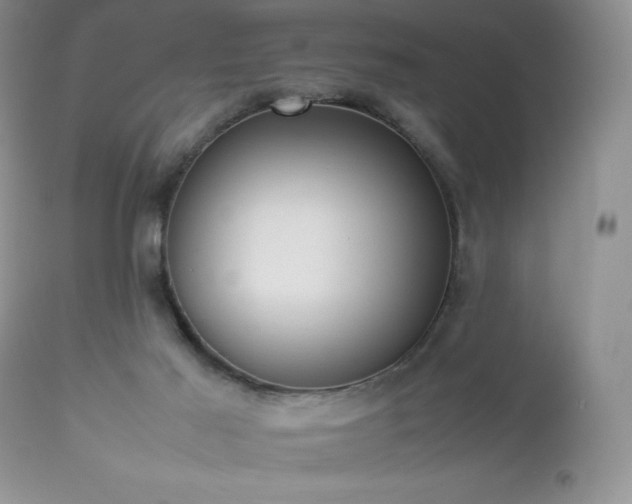 X0000112830021200908211228