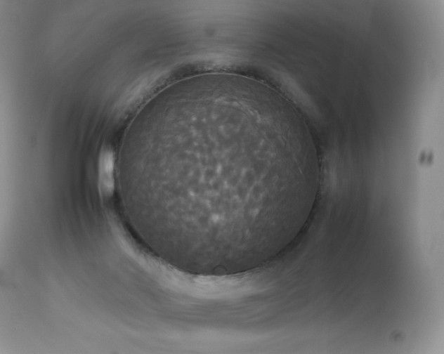 X0000112830022200908211228