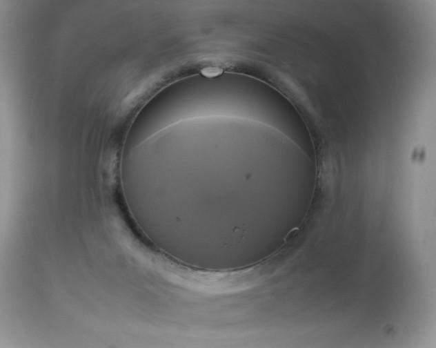 X0000112830023200908211228