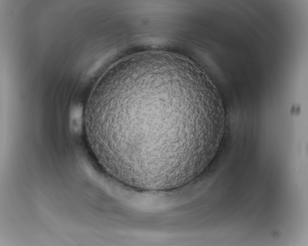 X0000112830024200908211228