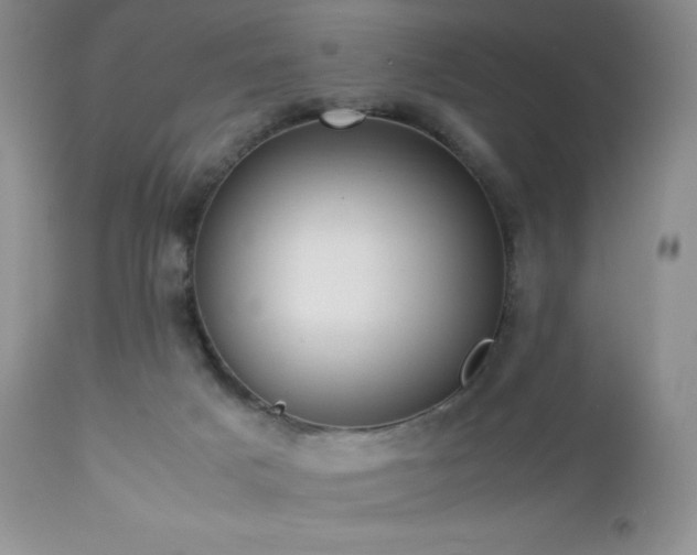 X0000112830025200908211228