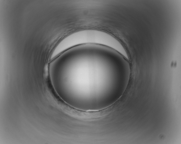 X0000112830027200908211228