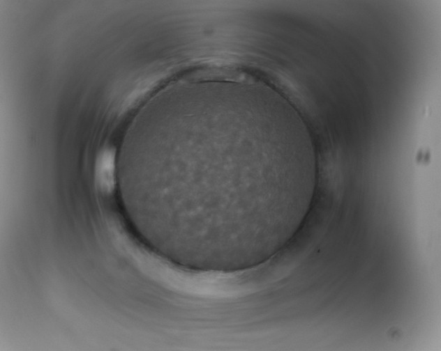 X0000112830028200908211228