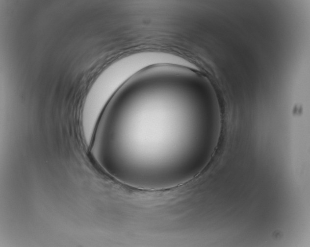 X0000112830029200908211227