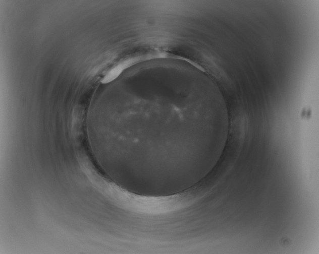 X0000112830030200908211227