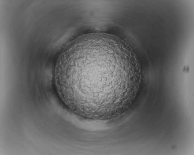 X0000112830032200908211227