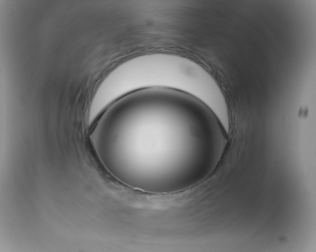 X0000112830033200908211227