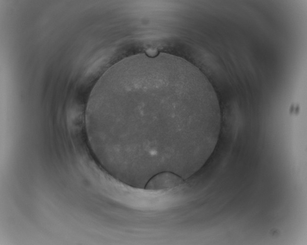 X0000112830034200908211227