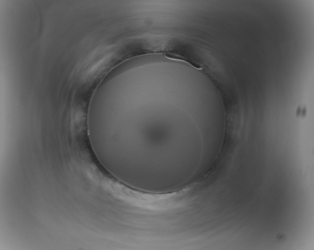 X0000112830035200908211227